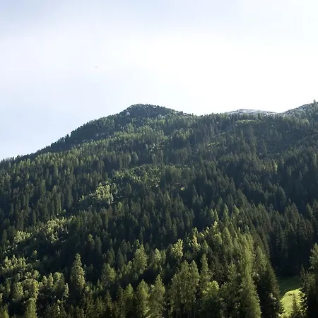 Appartement Haus Deiser Kappl (Landeck)